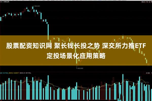 股票配资知识网 聚长钱长投之势 深交所力推ETF定投场景化应用策略
