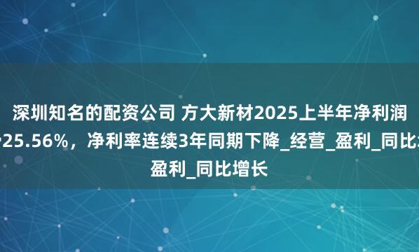 深圳知名的配资公司 方大新材2025上半年净利润下滑25.56%，净利率连续3年同期下降_经营_盈利_同比增长