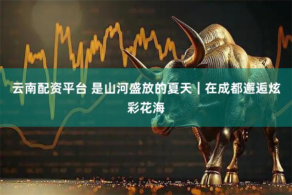 云南配资平台 是山河盛放的夏天｜在成都邂逅炫彩花海